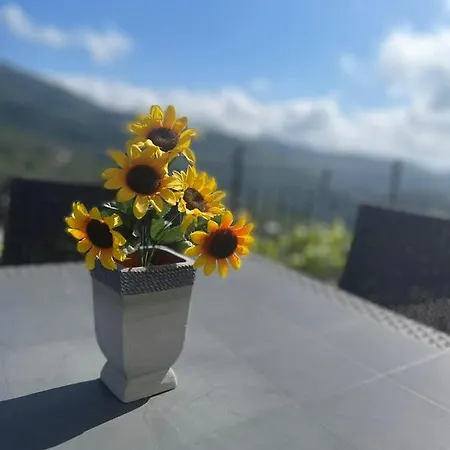 Frühstückspension Colle Uliveto Vico Equense