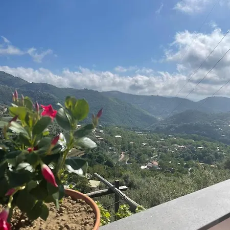 Bed & Breakfast Colle Uliveto *